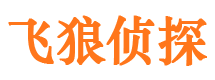 大石桥市侦探公司